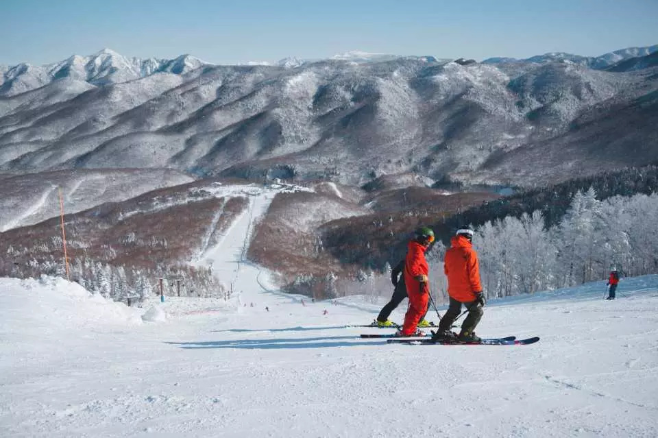 Khu trượt tuyết Shiga Kogen ở Nagano - Đường trượt dài tại Shiga Kogen, Nagano, một địa điểm được biết đến từ Thế vận hội mùa đông 1998, nơi du khách có thể thử sức với nhiều địa hình.