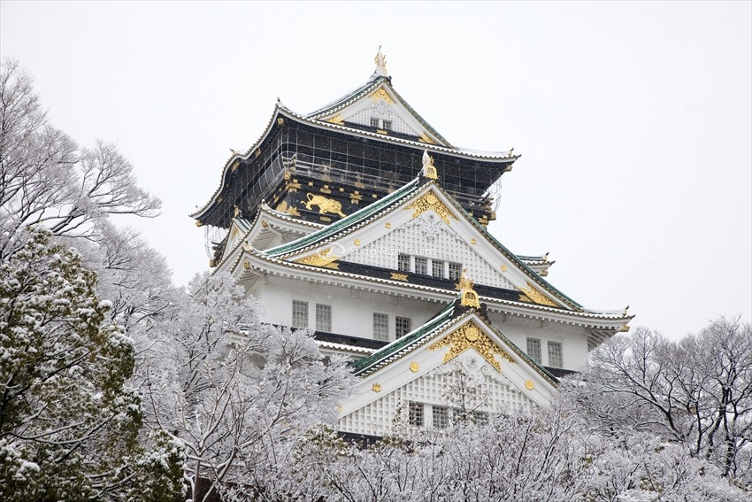 Lâu đài Osaka hùng vĩ giữa sắc trắng của mùa đông, nổi bật giữa thiên nhiên tĩnh lặng