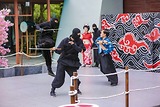 SHOW BIỂU DIỄN NINJA: MỘT PHẦN CỦA NGHỆ THUẬT TRUYỀN THỐNG NHẬT BẢN