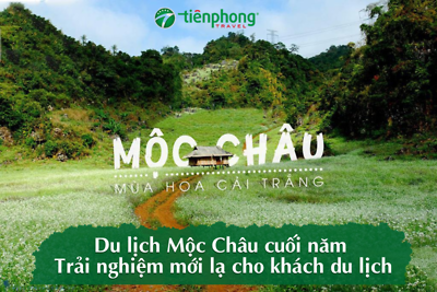 Du Lịch Mộc Châu Cuối Năm - Trải Nghiệm Mới Lạ Cho Khách Du Lịch 