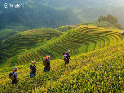 Mù Cang Chải: Festival dù lượn 