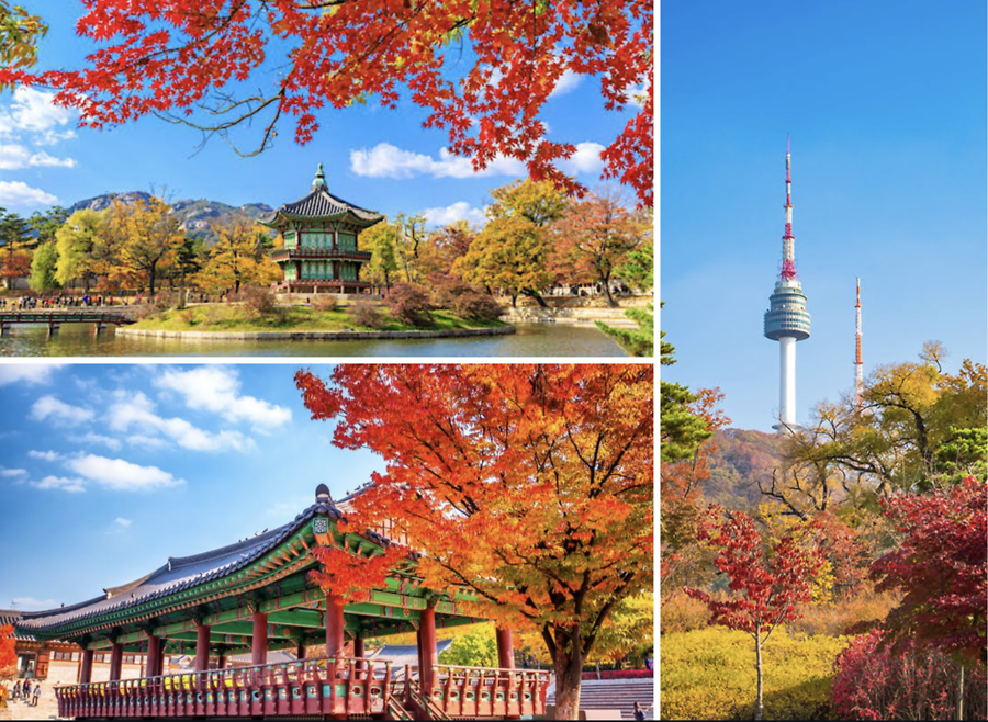 HÀN QUỐC (bay sáng về tối): SEOUL – NAMI – THÁP NAMSAN – DU THUYỀN SÔNG HÀN – EVERLAND – THƯ VIỆN STARFIEL