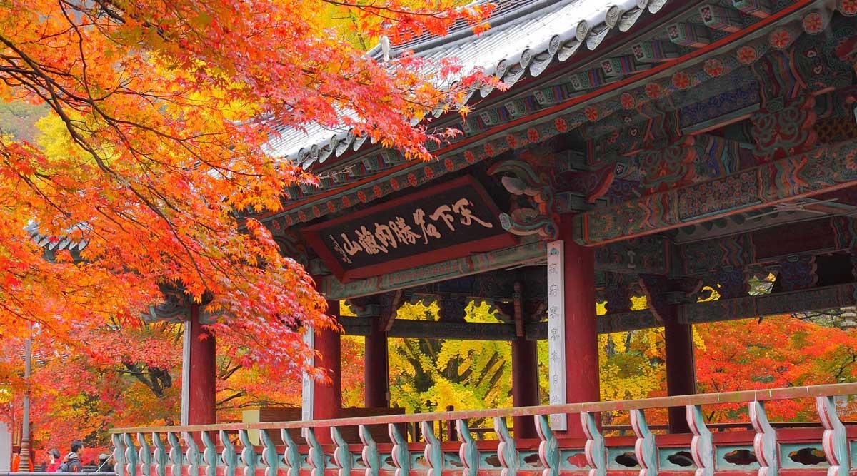 Bức tranh mùa thu ở công viên Naejangsan