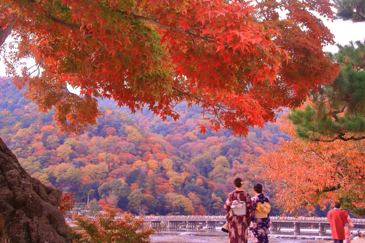 Cầu Togetsukyo nổi tiếng ở Kyoto