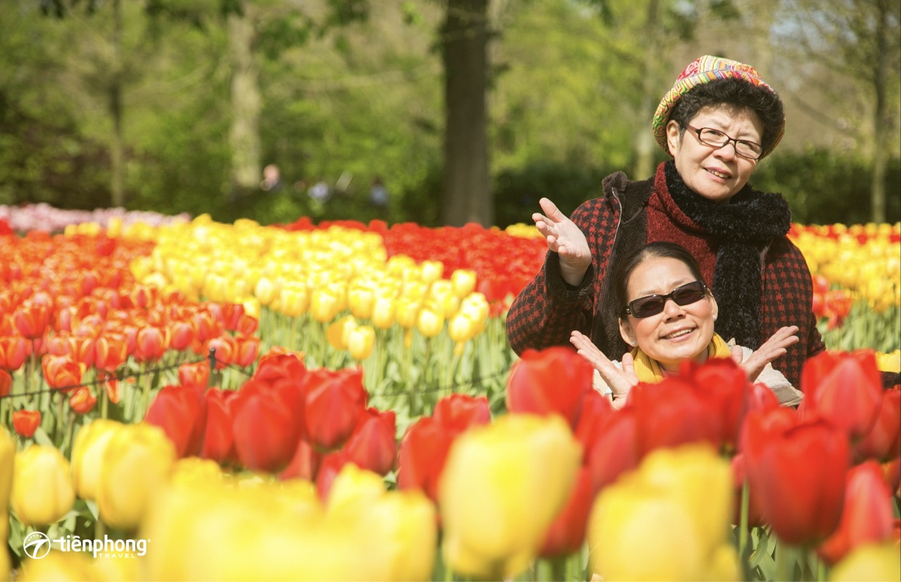 Du khách tham quan Keukenhof