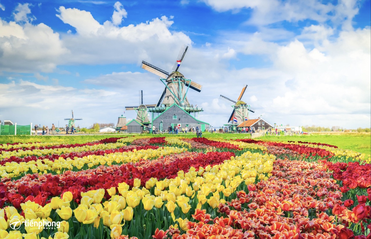 Keukenhof toạ độ tuyệt vời cho những tâm hồn "sống ảo"