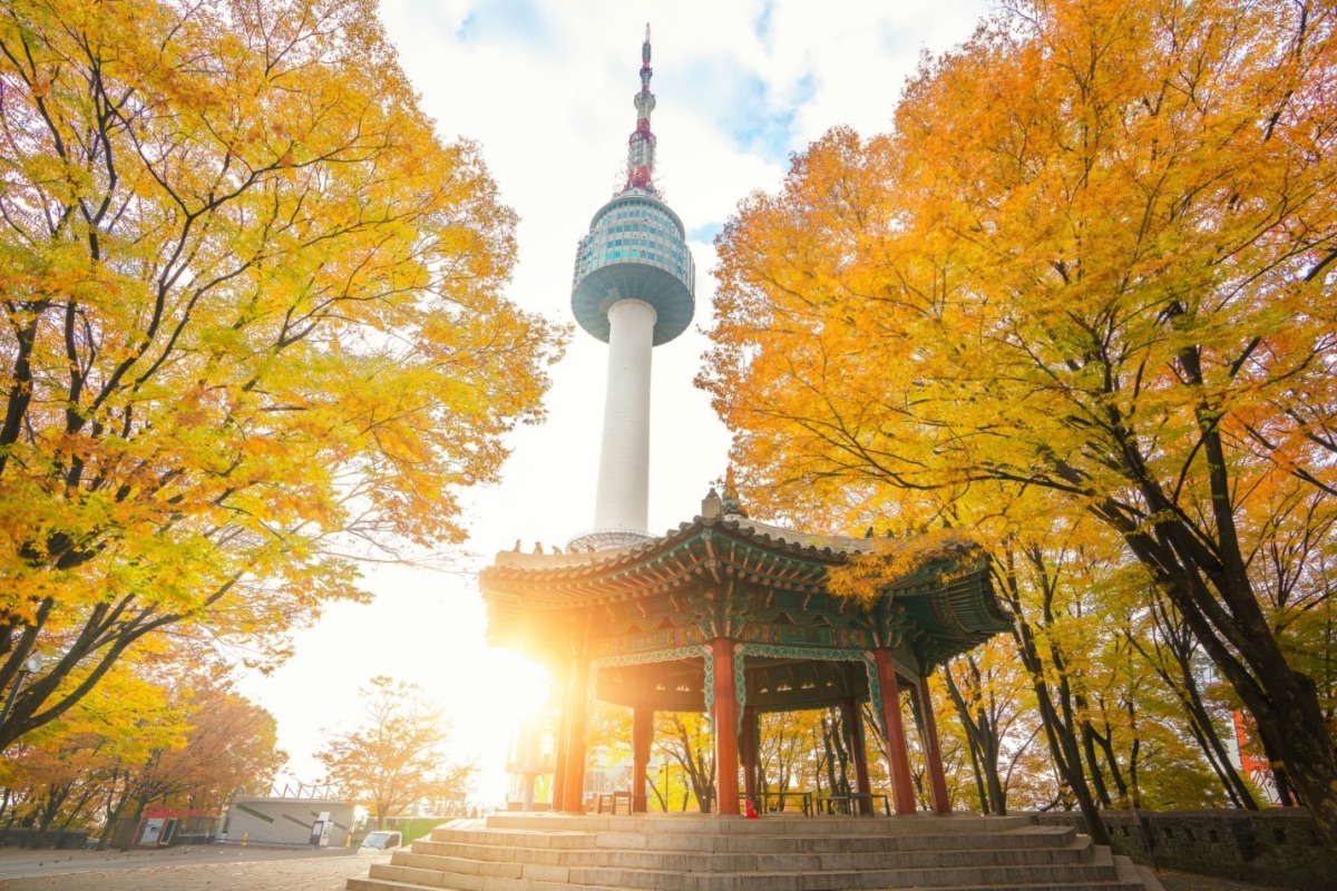 Ngắm lá vàng tuyệt đẹp ở Namsan