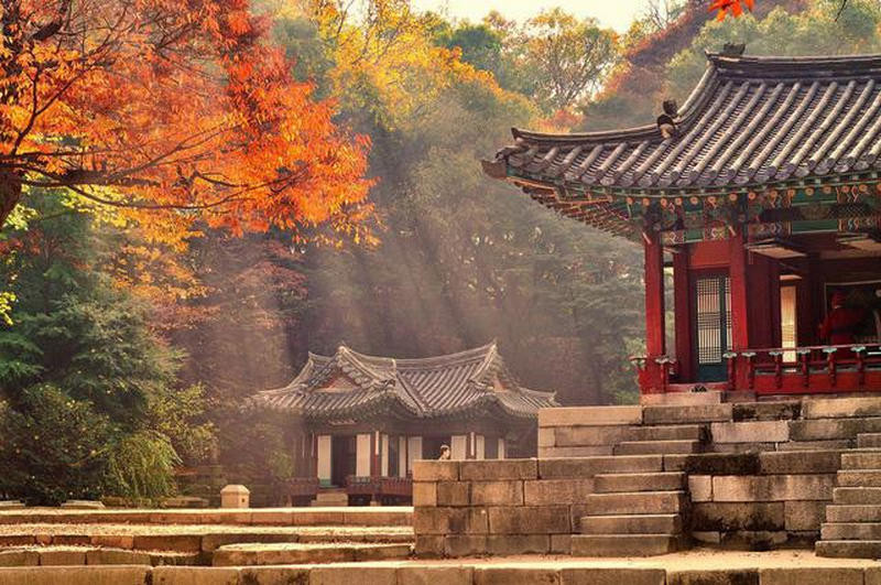 Ngắm mùa thu tại cung điện Changdeokgung