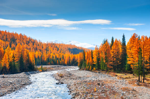 Thiên nhiên hùng vĩ ở cùng Siberia - Nga