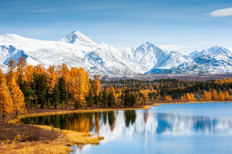 Thu vàng rực rỡ ở núi Altai