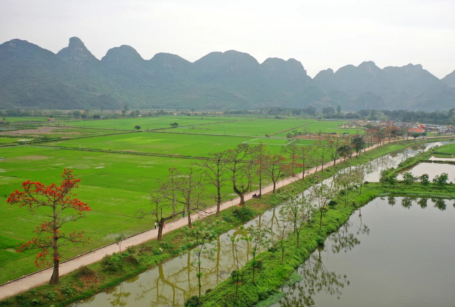 Thuyền du lịch suối Yến mùa xuân