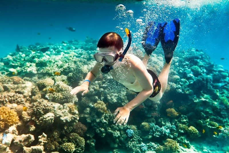 Du khách trải nghiệm tàu đáy kính ngắm san hô Cồn Cỏ
