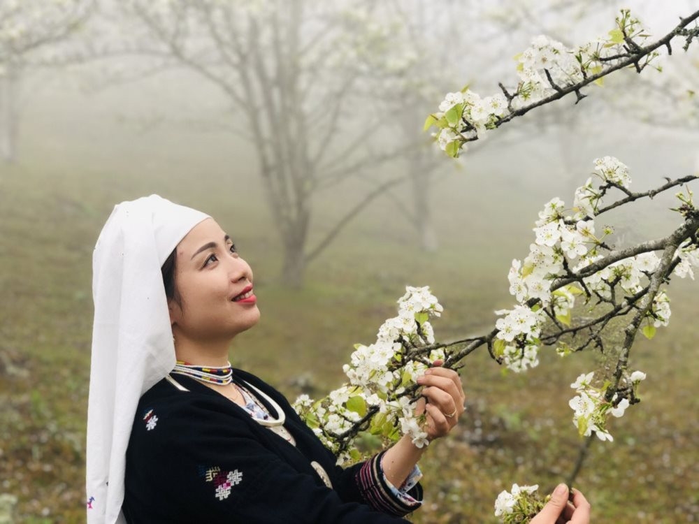 Mùa hoa lê Hồng Thái nở trắng giữa núi rừng Tuyên Quang