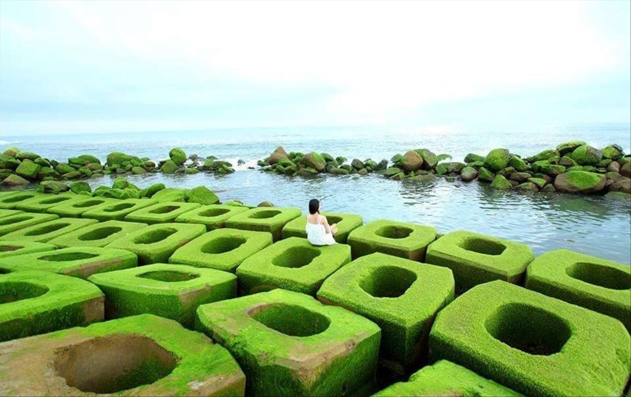 Bãi rêu Xóm Rớ