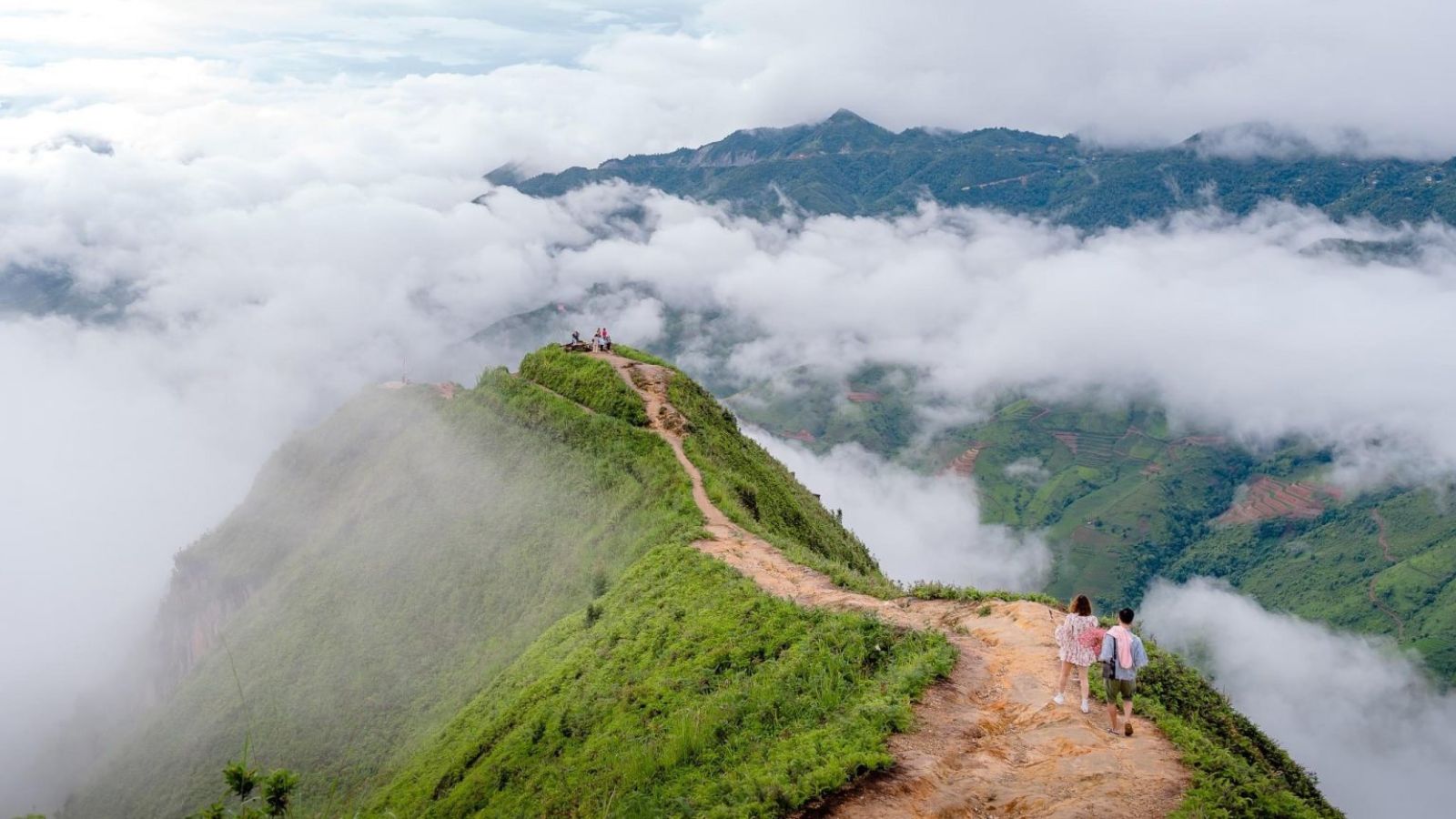 Sống lưng khủng long Tà Xùa chìm trong mây trắng