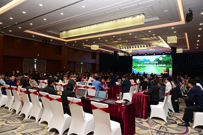 Toàn cảnh của hội nghị