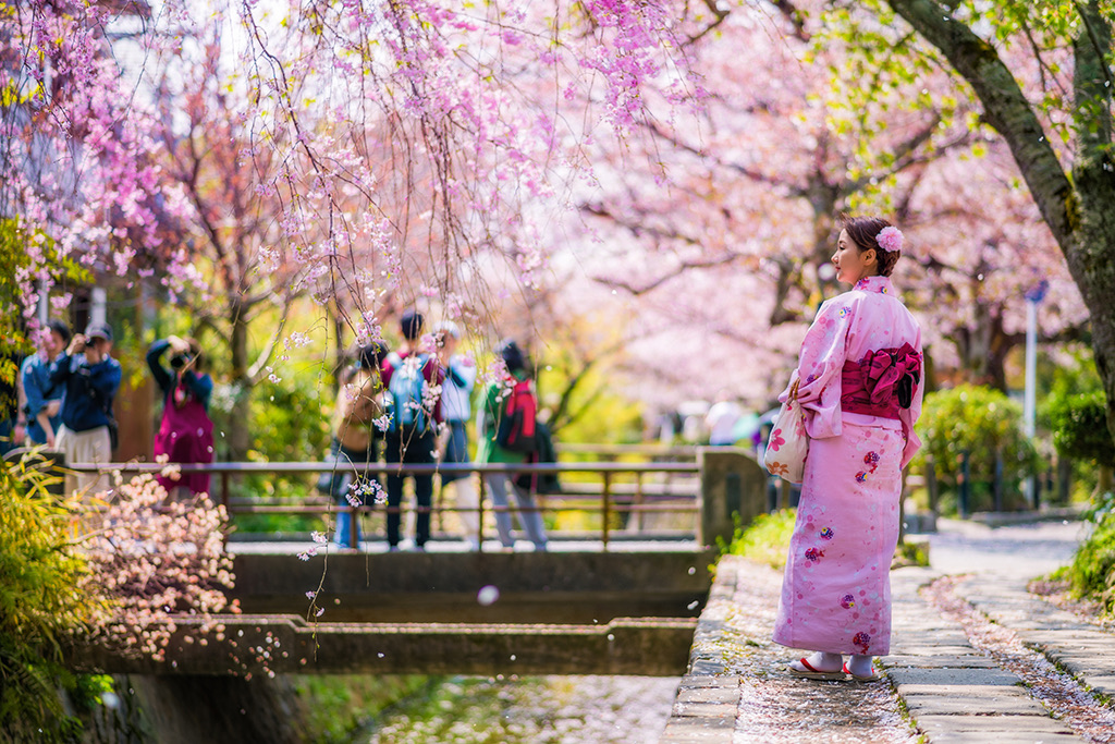 Con đường Triết gia, địa điểm ngắm hoa anh đào nổi tiếng ở Kyoto