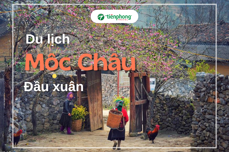 Du lịch Mộc Châu đầu xuân có gì hấp dẫn?