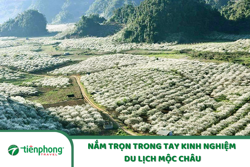 Nắm trọn trong tay kinh nghiệm du lịch Mộc Châu chi tiết
