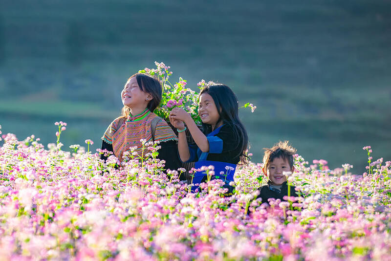Hà Giang mùa hoa tam giác mạch tháng 10