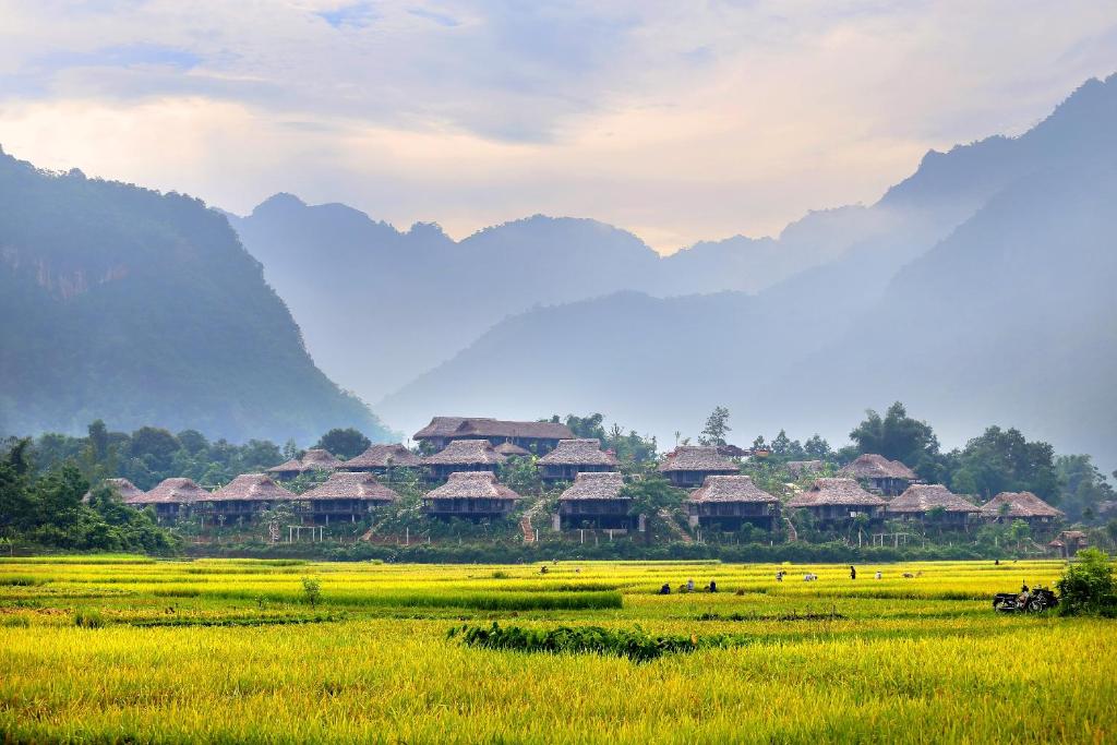 Thung lũng Mai Châu yên bình mùa thu