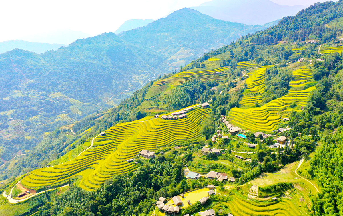 Ruộng bậc thang Hoàng Su Phì mùa lúa chín