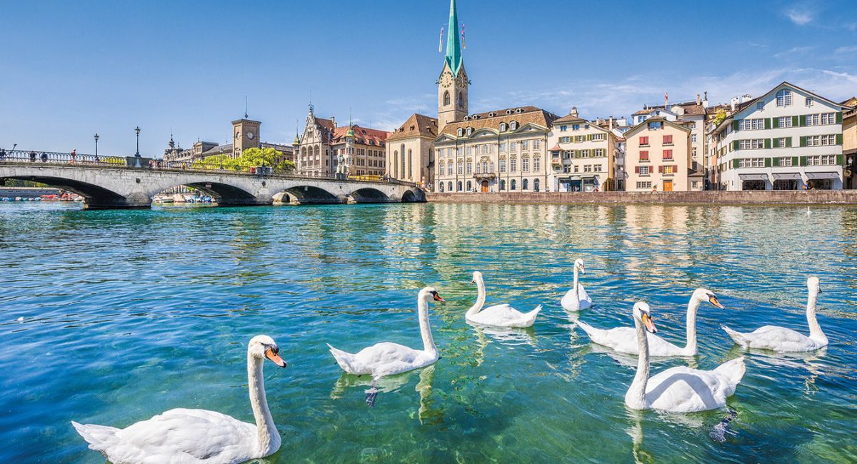 Ngắm cảnh hồ Zurich lung linh trong nắng