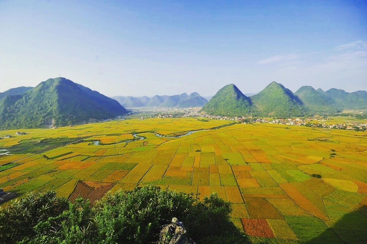 Bắc Sơn như một tấm vải thổ cẩm khi mùa lúa tới