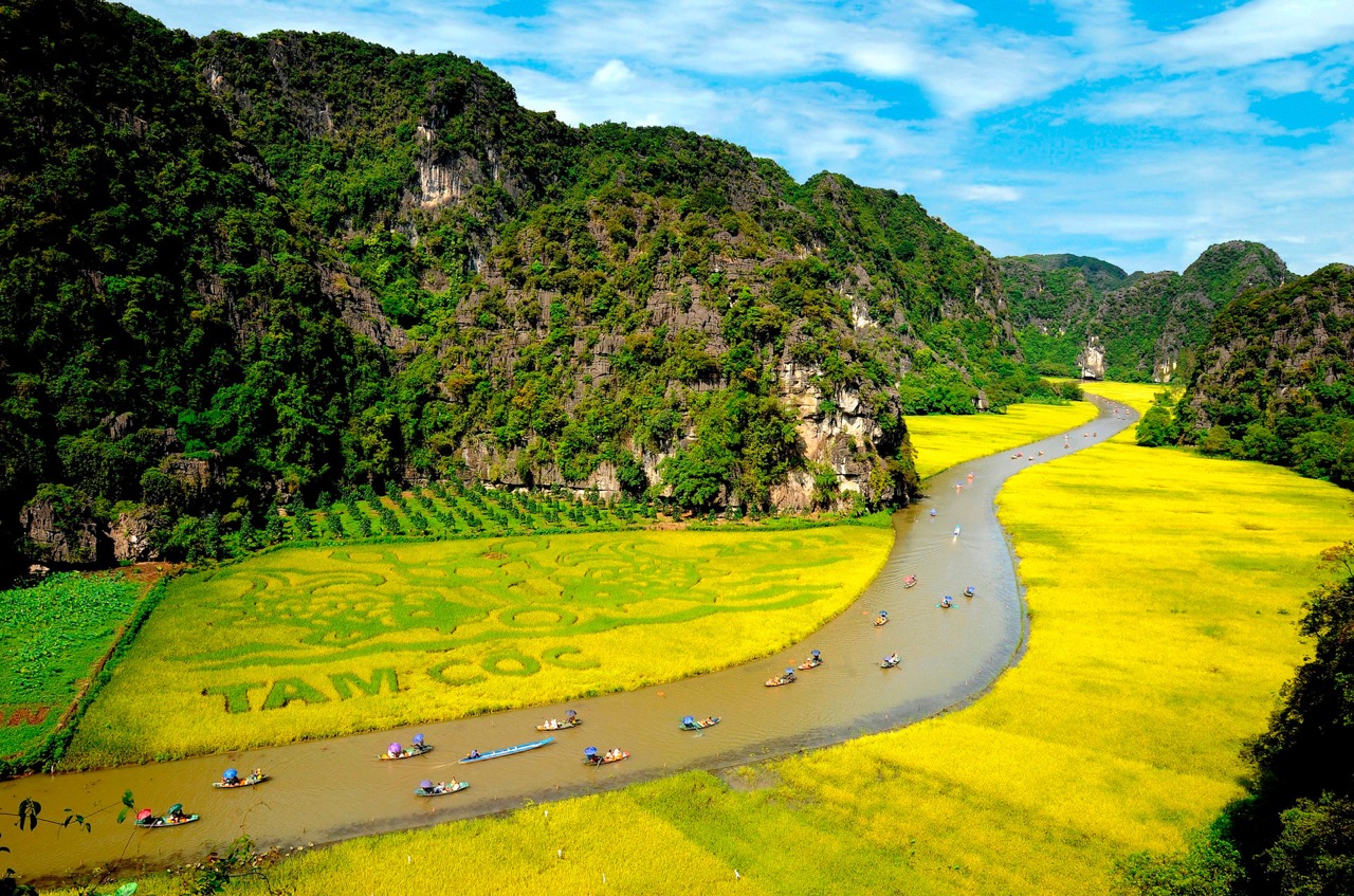 Cảnh đẹp Ninh Bình mùa lúa chín