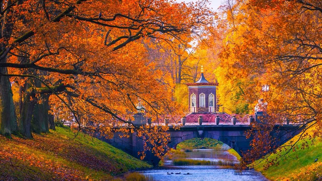 Công viên "Summer Garden" - bức tranh thiên nhiên mùa thu lãng mạn