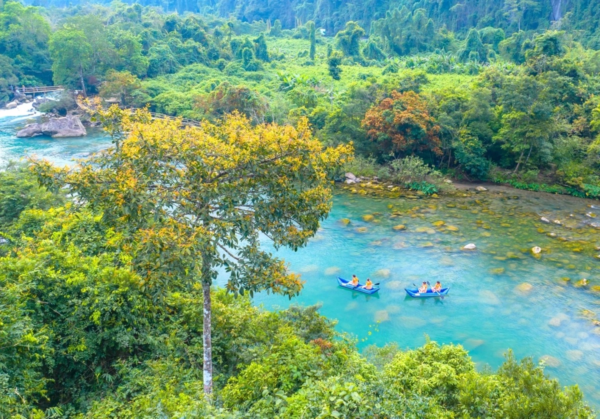 Dòng suối xanh lấp lánh bên hoa Vàng Anh mùa xuân