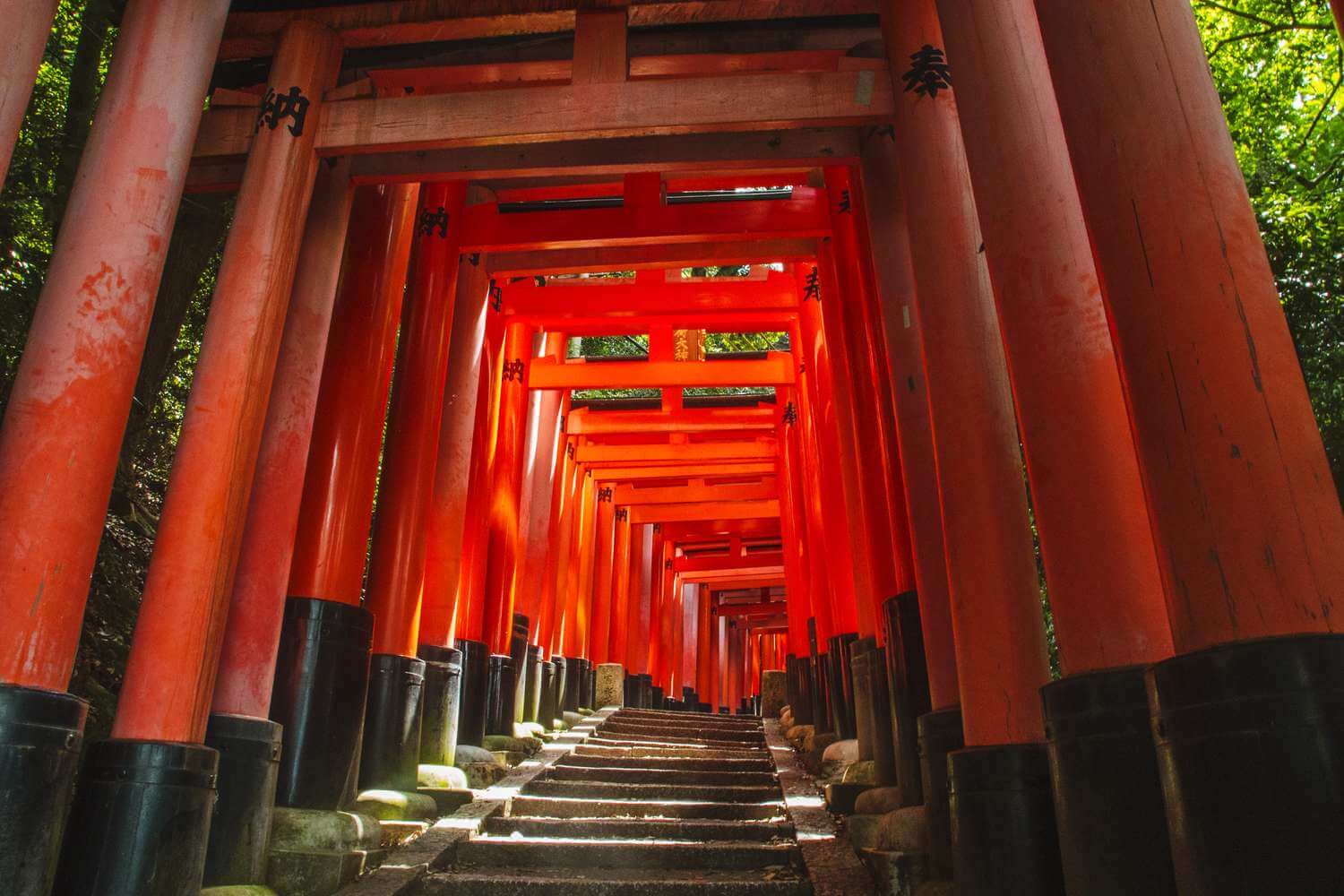 Hàng ngàn cổng Torri lên đền Fushimi Inari tạo nên một khung cảnh huyền bí