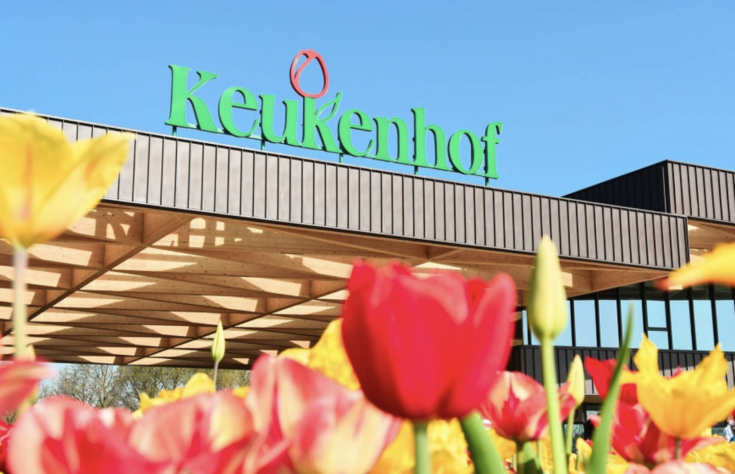 Keukenhof mang trong mình bề dày lịch sử từ thế kỷ 15 - biểu tượng của nền văn hóa hoa tulip
