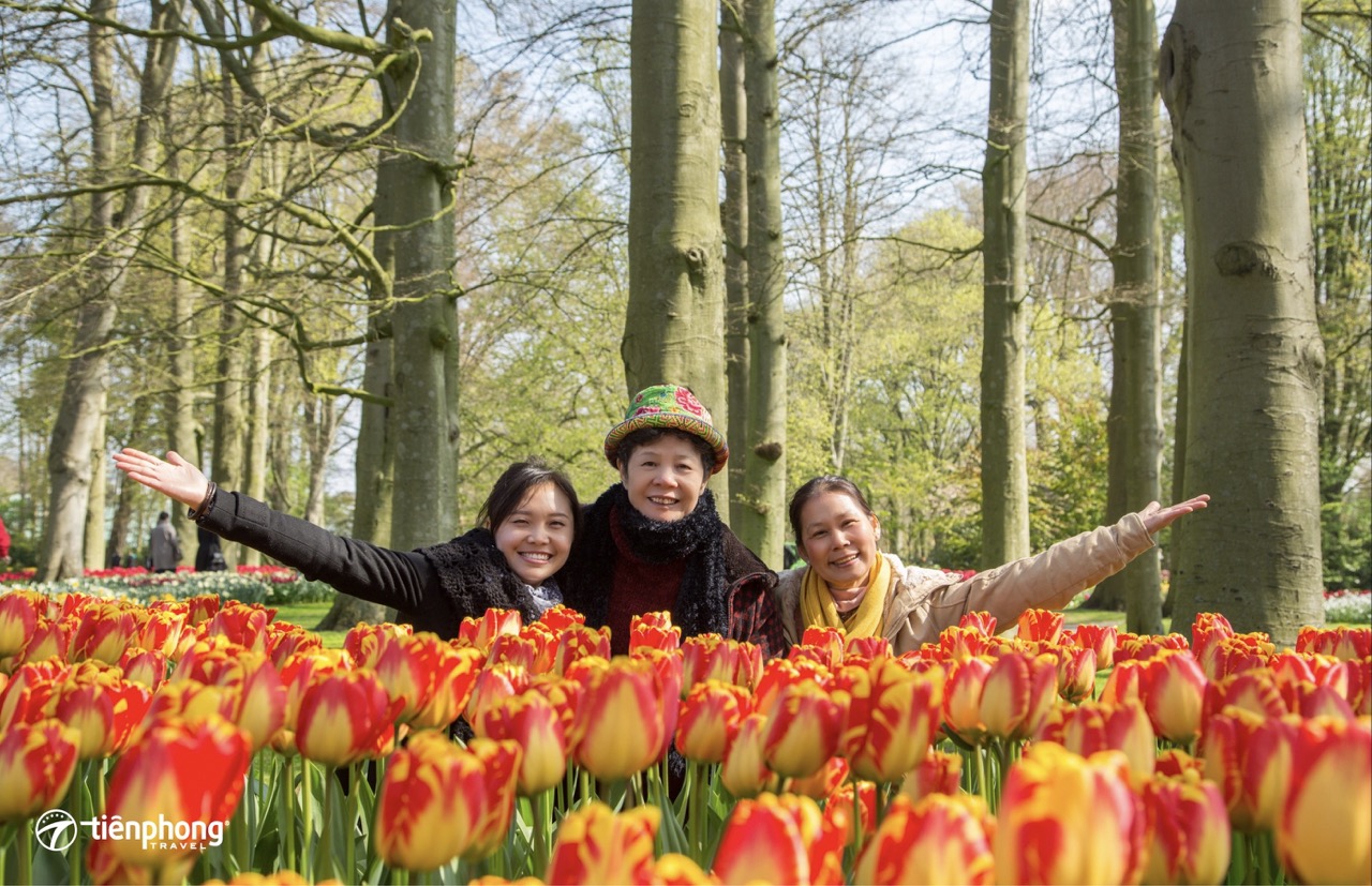 Keukenhof - Hà Lan