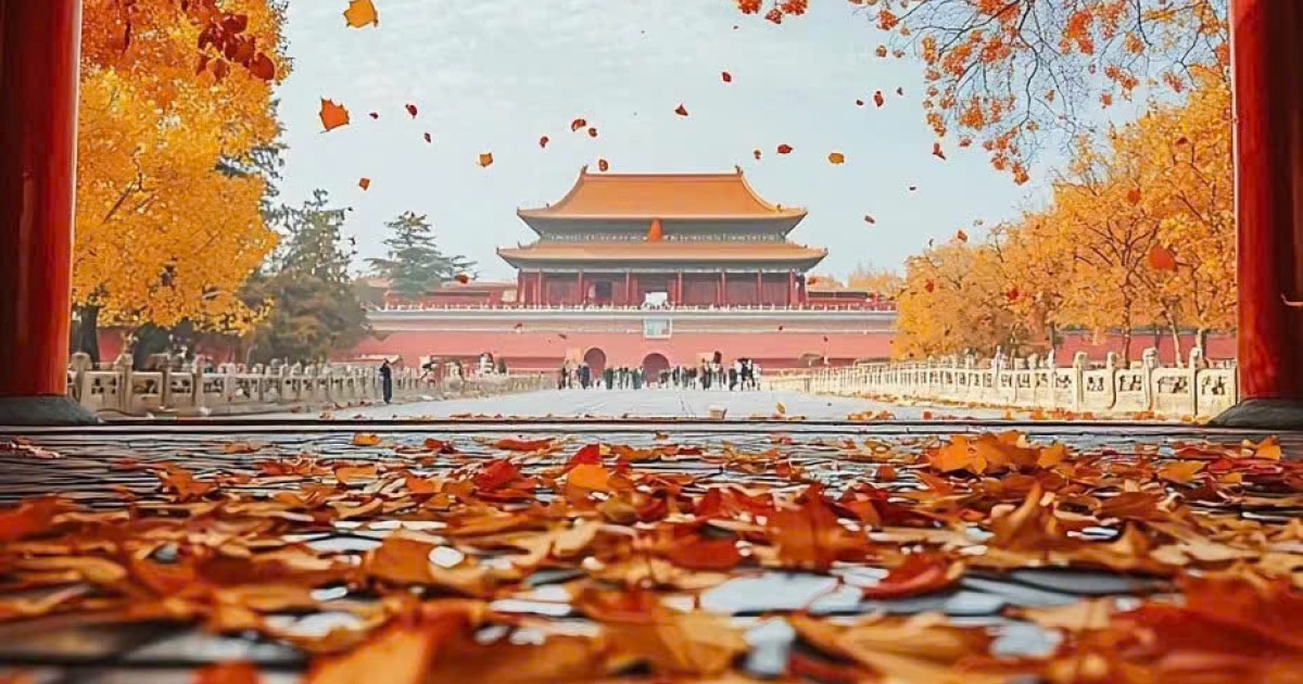 Mùa thu nhẹ nhàng ở Bắc Kinh