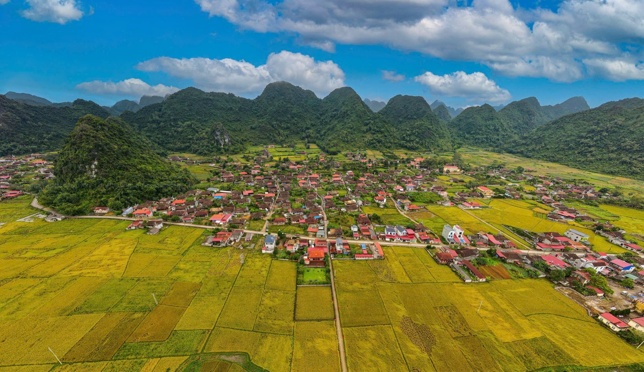 Mùa vàng Bắc Sơn