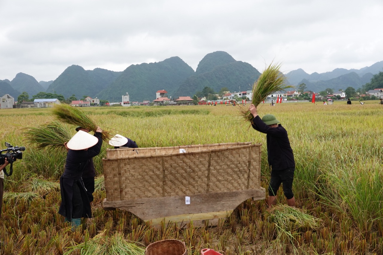 Nét đẹp lao động Bắc Sơn