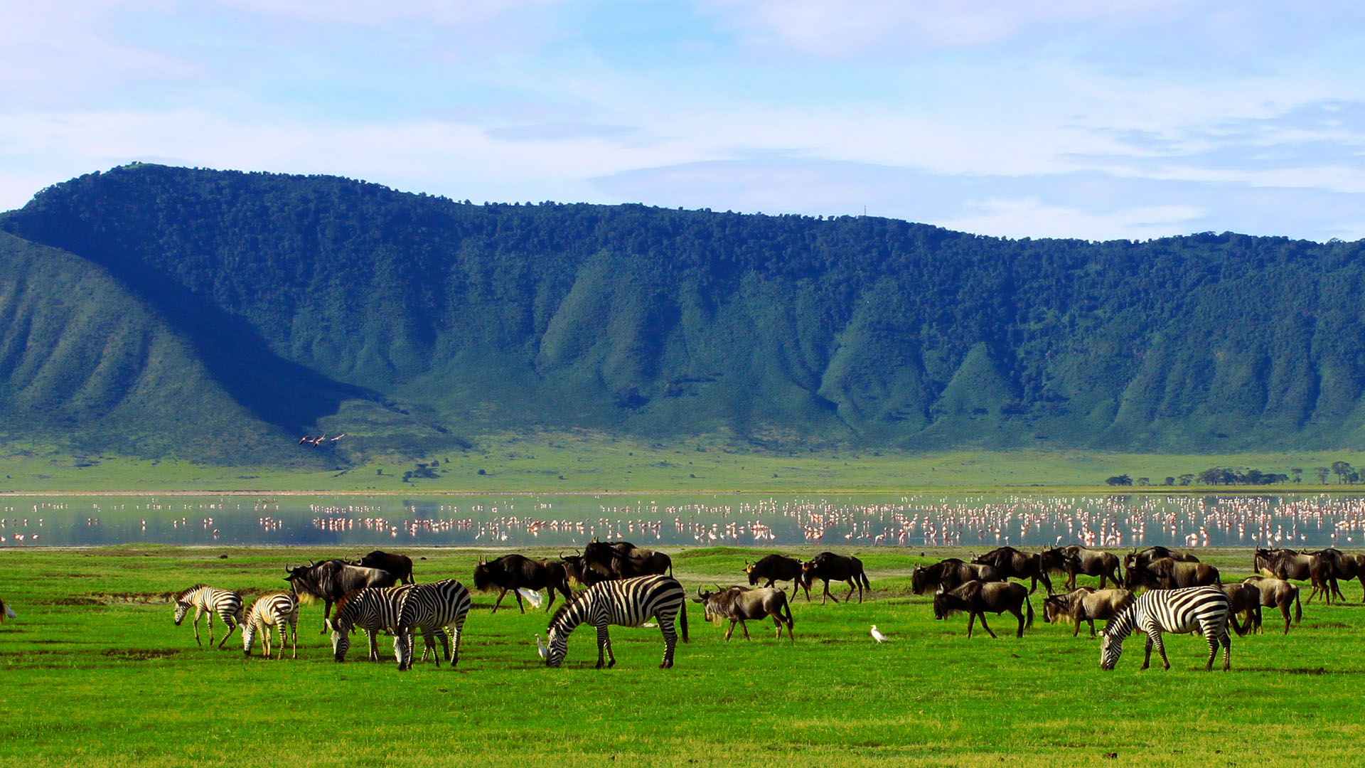 Đáy Ngorongoro có đồng cỏ, hồ nước và rừng nhỏ trong cùng một khu vực.