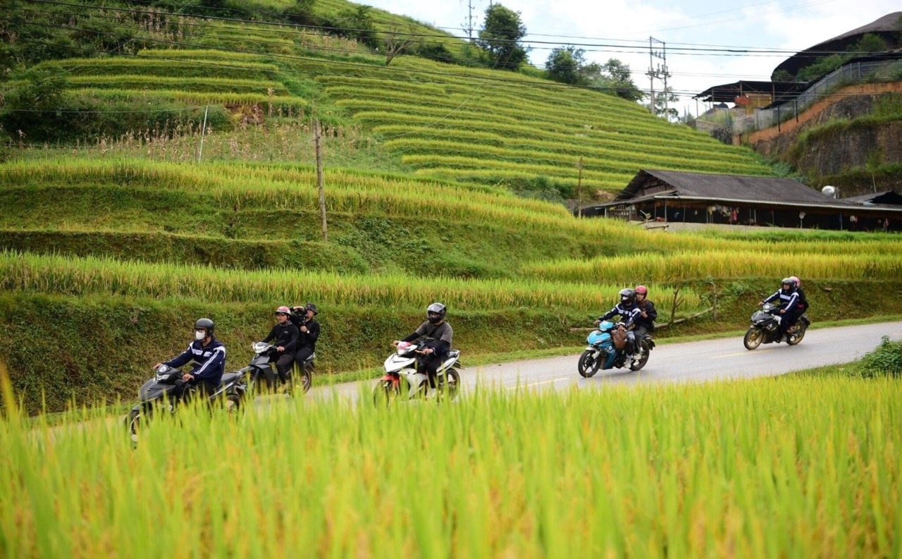Những cung đường trải dài lúa chín khi đi phượt