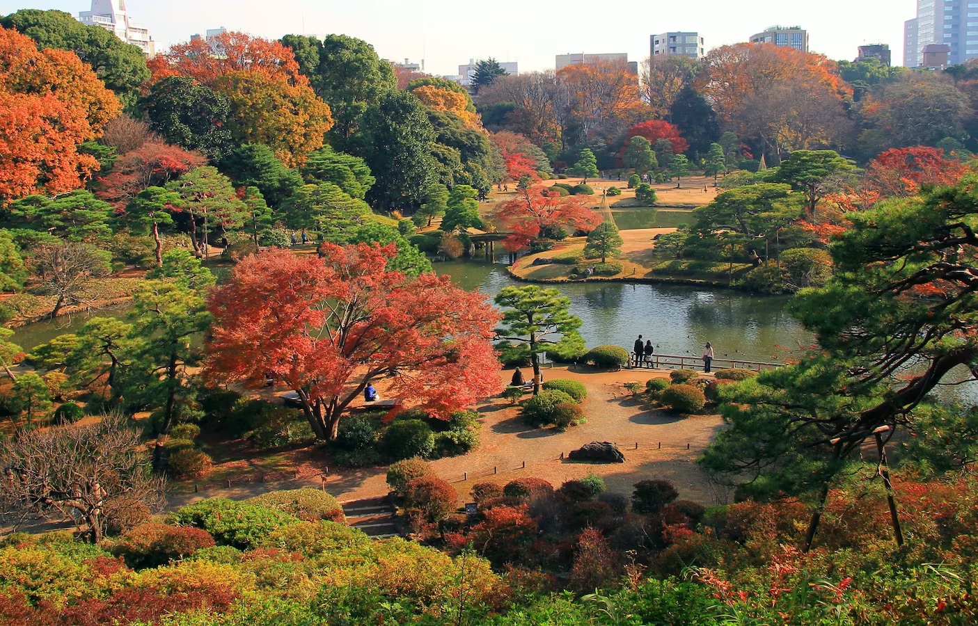 Công viên Rikugien Tokyo rực rỡ trong sắc đỏ