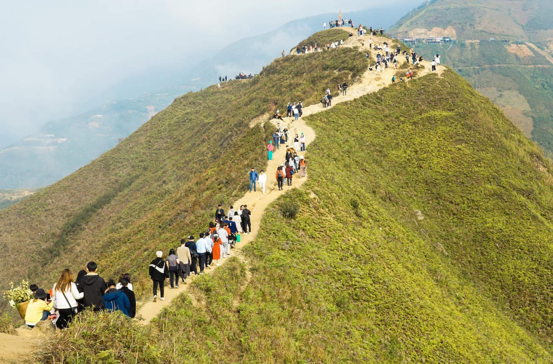 Sống lưng khủng long