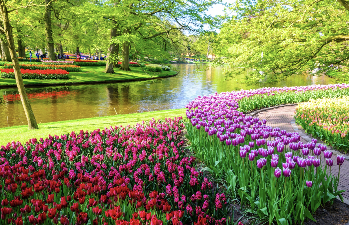 Tháng 4 là thời điểm lý tưởng để ghé thăm Keukenhof khi hoa tulip đang vào độ rực rỡ nhất, mang đến khung cảnh đẹp như tranh vẽ