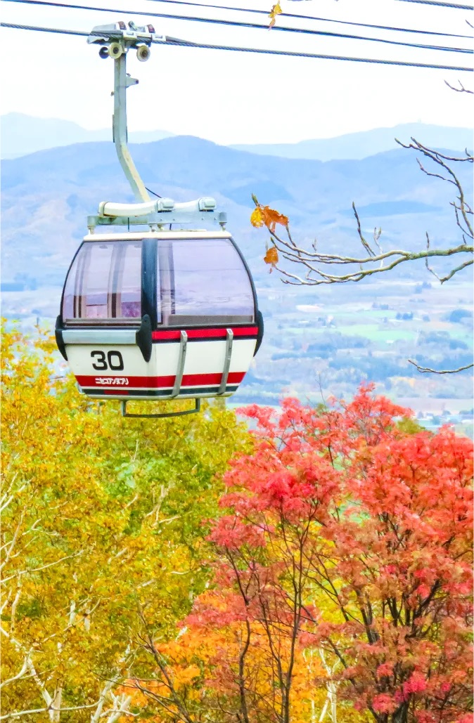 Thưởng thức lá mùa thu ở Hokkaido từ cáp treo