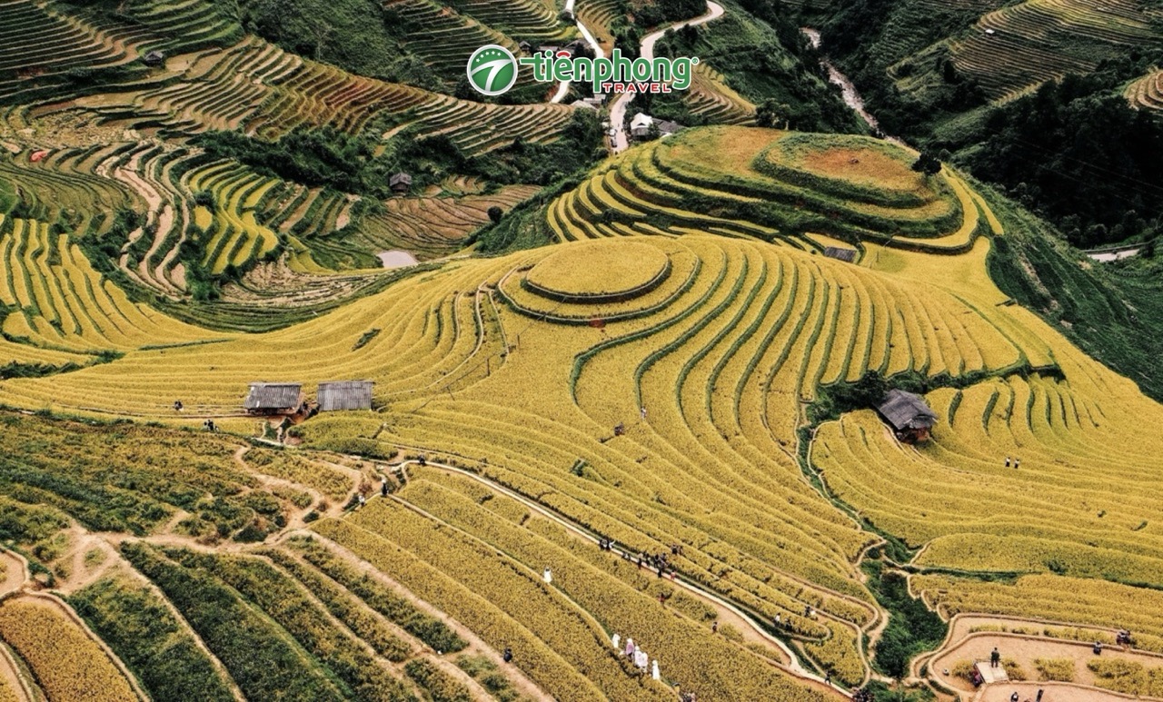 Mùa vàng Mù Cang Chải