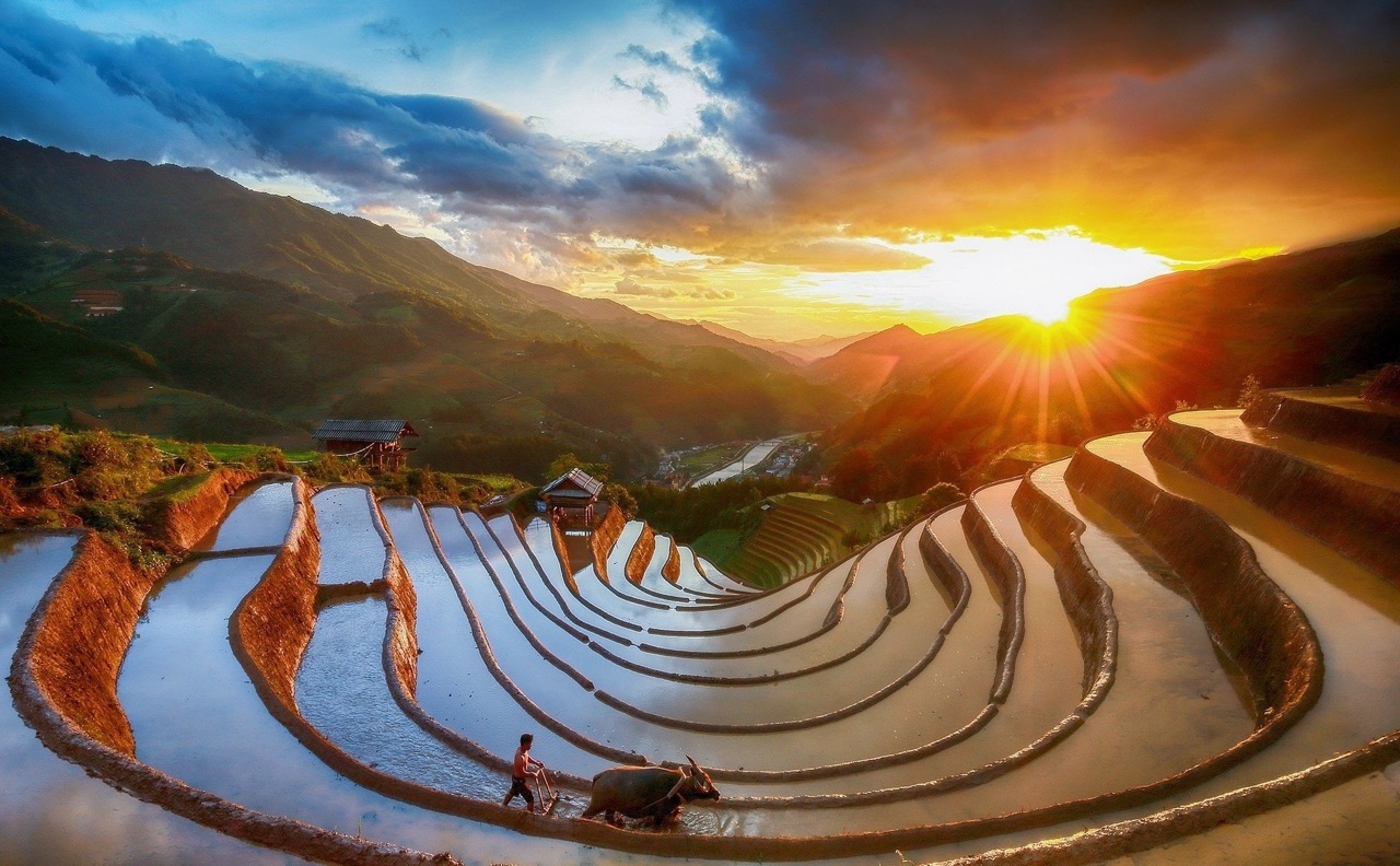 Vẻ đẹp lãng mạn Mù Cang Chải mùa nước đổ