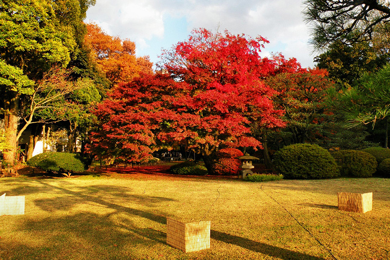 Vườn Rikugien,Tokyo