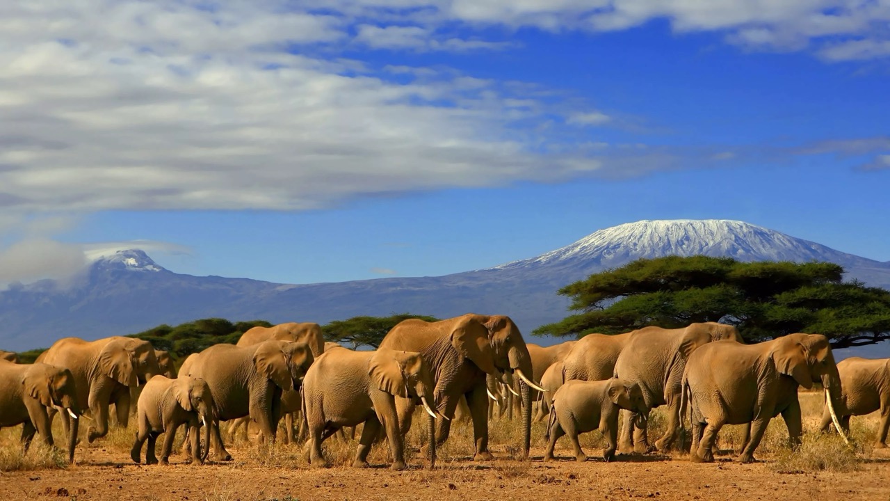 Sự đa dạng địa hình tạo nên hệ sinh thái phong phú bậc nhất thế giới tại Kenya