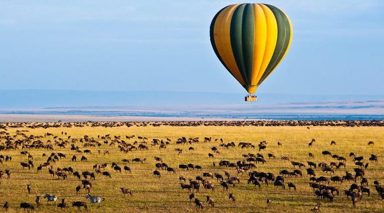 Khinh khí cầu bay trên thảo nguyên Serengeti lúc bình minh — trải nghiệm safari cao cấp nhất khi du lịch Tanzania