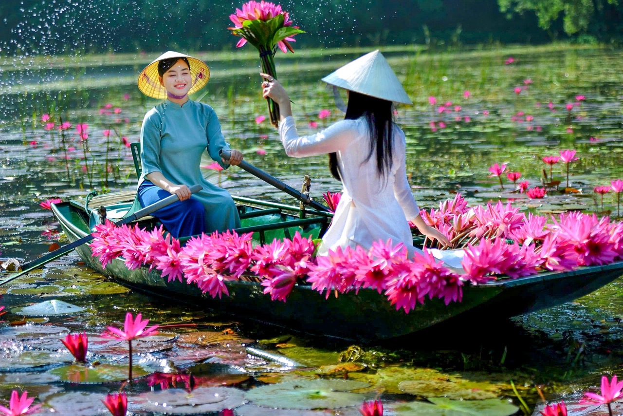 Thả hồn voà mùa hoa súng Ninh Bình