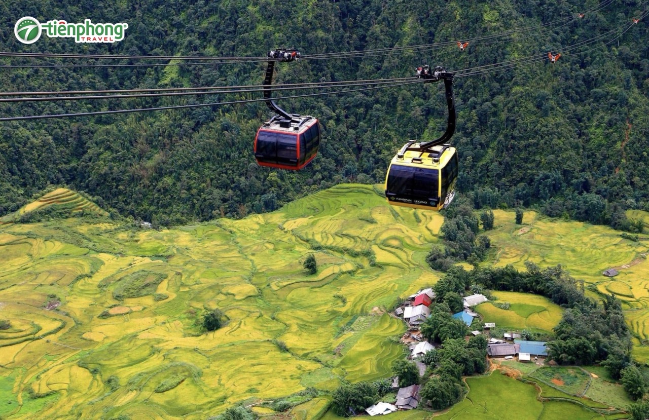 Thưởng ngoạn khung cảnh mùa lúa chín trên cáp treo